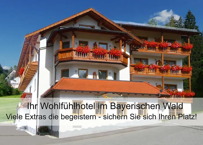 Garnihotel Zur Linde - Bayerischer Wald - Aktivcard Mit 154 Kostenfreien Leistungen - Kostenloser Parkplatz