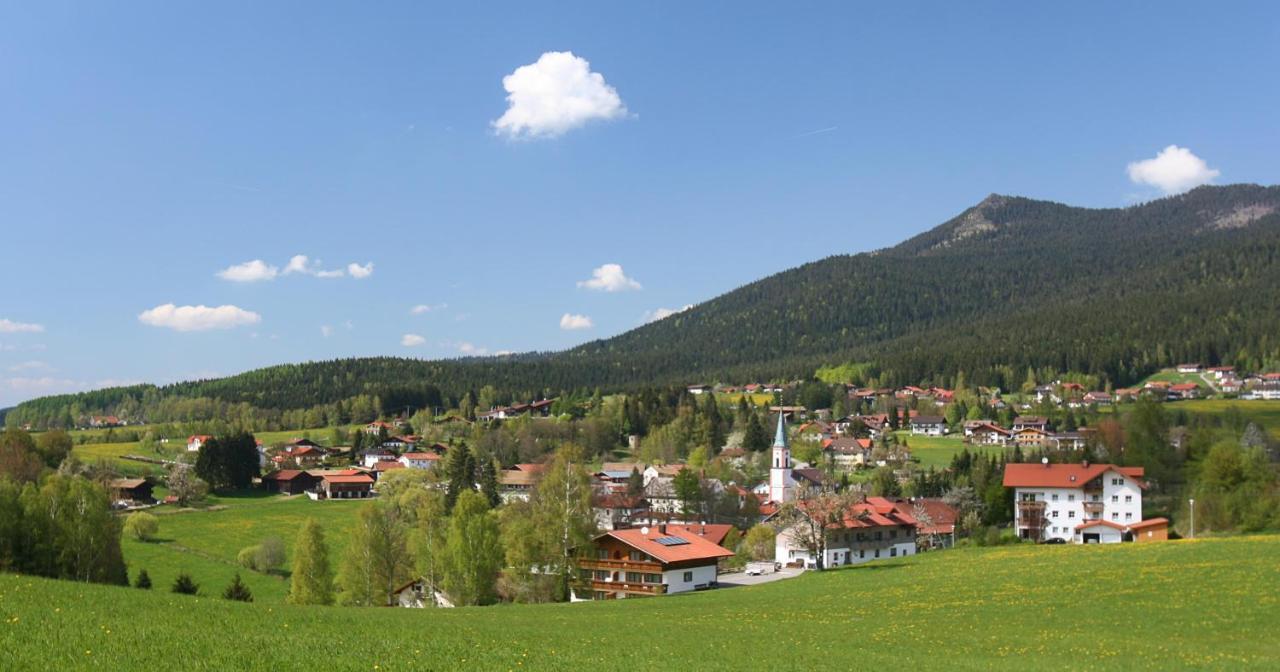 Hotel Garnihotel Zur Linde - Bayerischer Wald - Aktivcard Mit 154 Kostenfreien Leistungen - Kostenloser Parkplatz Lohberg