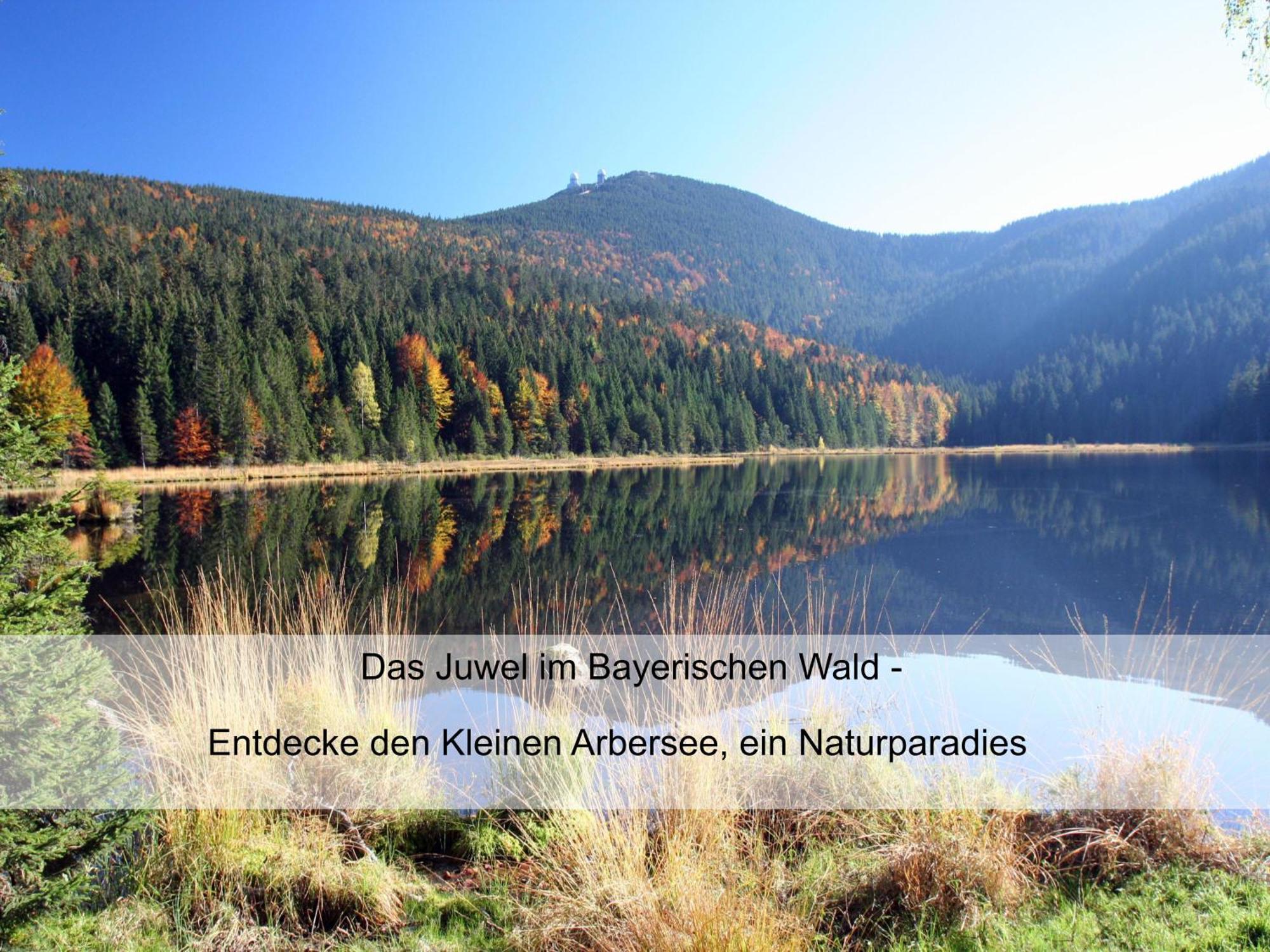 Garnihotel Zur Linde - Bayerischer Wald - Aktivcard Mit 154 Kostenfreien Leistungen - Kostenloser Parkplatz